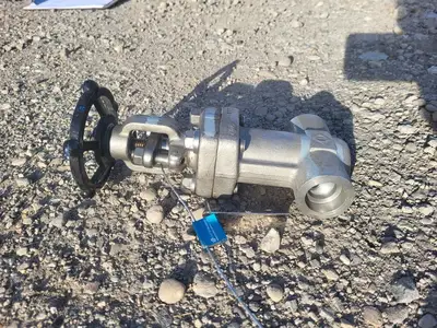 1" Class 800 Globe Valve API 602