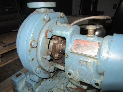 USED Goulds 3196