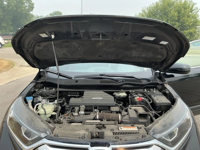 Used 2019 HONDA CR-V SUVs Michigan US | Miedema Asset Management Group #1313949