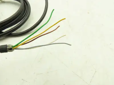 IFM RB-0100-I24/L2 RB6007 Encoder 100PPR 10-30VDC 2m cable
