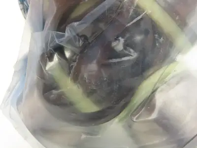 Spicer 2210/2215CB Universal U-Joint 104.5mm Long 42mm OD