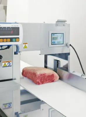 Nantsune Model NTD-300 Libra 300C Fixed Weight Meat Slicer