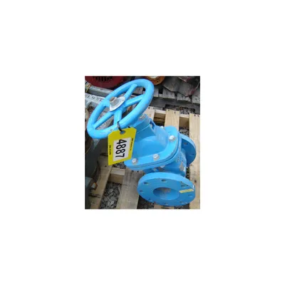 4" WATTS REGULATOR MANUAL WATER GATE VALVE
