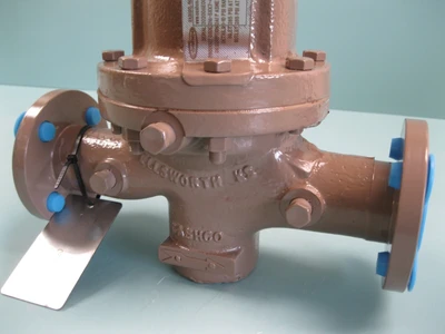 NEW Cashco D16-5XX7-4SX55161E