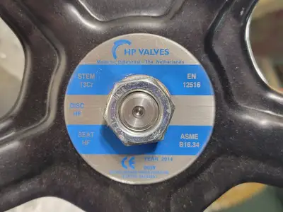2" Class 900 Globe Valve B16.34