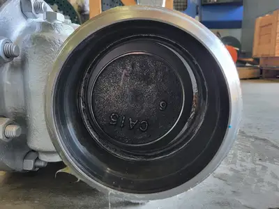 6" Class 150 Check Valve B16.34