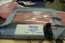 USED Phillips H HITAG HT EV800 H HITAG HT EV800