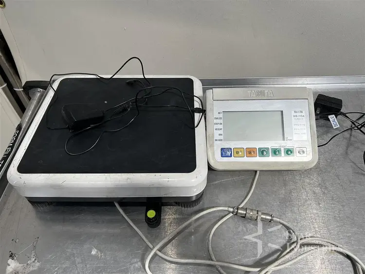 Used _UNKNOWN_ _UNKNOWN_ Patient Scales / Patient Lifts California US | Star Industries #1254371