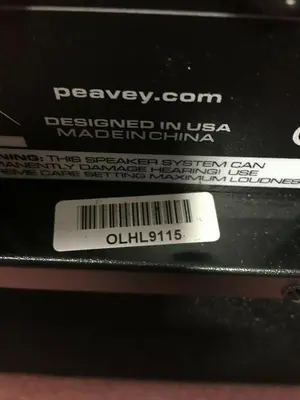 Peavey PV 118 18 Inch Subwoofer