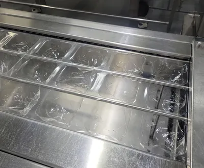 USED MULTIVAC F 100