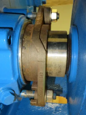 USED Goulds 3180