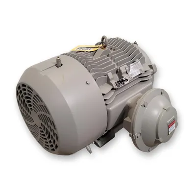 NEW SIEMENS P19