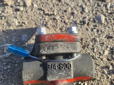3/4" Class 800 Check Valve API 602