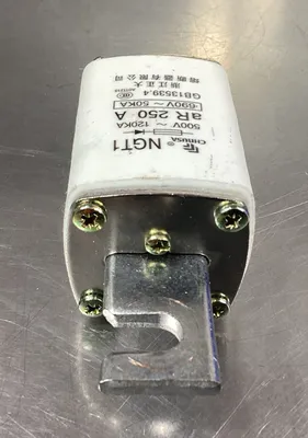 CHNUSA NGT1 690V 250A FUSE. 4C-43