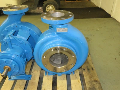 USED Goulds 3196 MTX