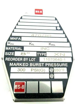 NEW BS&B 470799 RUPTURE DISC 8" DN 200 TYPE XN 300PSI