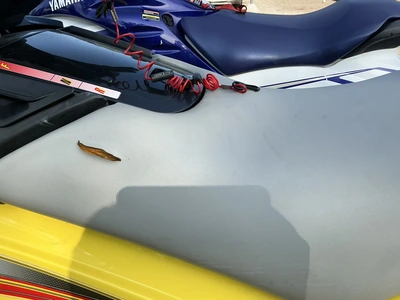 Used 2001 YAMAHA WAVERUNNER GP1200R Boats (Misc) Michigan US | Miedema Asset Management Group #1321316