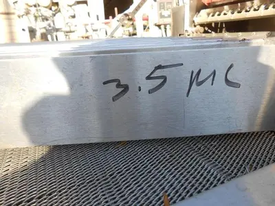 Washer, Vial, Auto, Tunnel, S/st, Linear, Mdl 100 #C742071