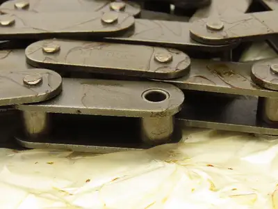 Tsubaki RF2050-S Roller Chain Double Pitch 10 Foot Length