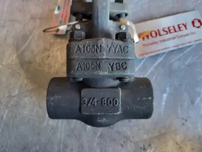 3/4" Class 800 Gate Valve B16.34
