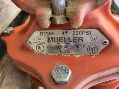 4" Gate Valve R2365, 250 PSI