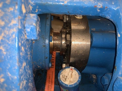 USED Goulds 3175