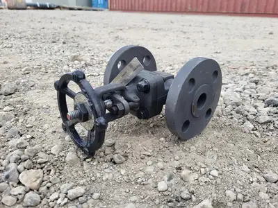 1" Class 300 Gate Valve API 602