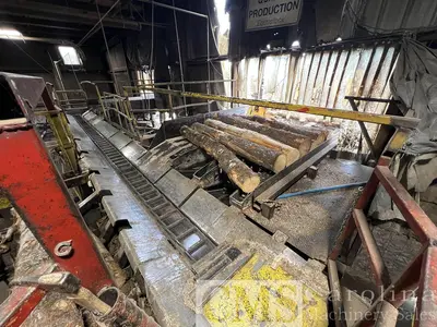 Used COMPLETE SHAVING MILL OPERATION WITH LAND, DRYING & BAGGING LINE NEWMAN, BMM, MEC, WEBB, RETHCEIF, CAT Woodworking Complete Operations North Carolina US | CAROLINA MACHINERY SALES #1269536