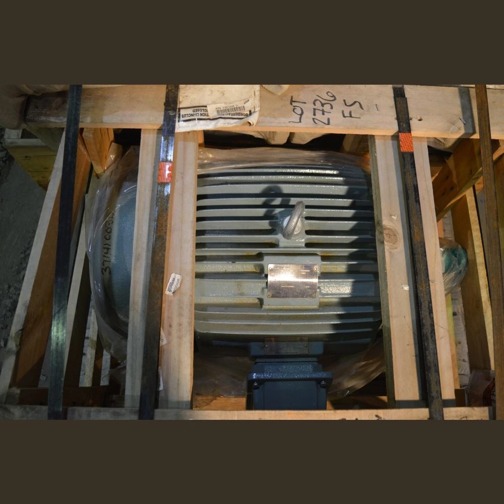 Optim 30 HP Motor