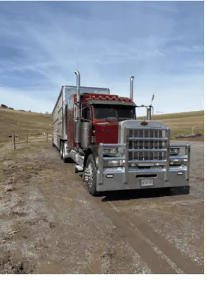 Used PETERBILT 379 Conventional trucks Pennsylvania US | Trustworthy Equipment #1403459