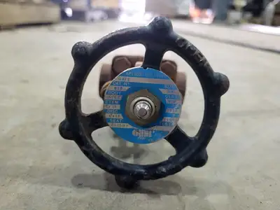 USED OMB 810