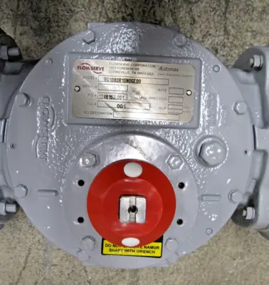 NEW Flowserve RG108SR1SN0GE00