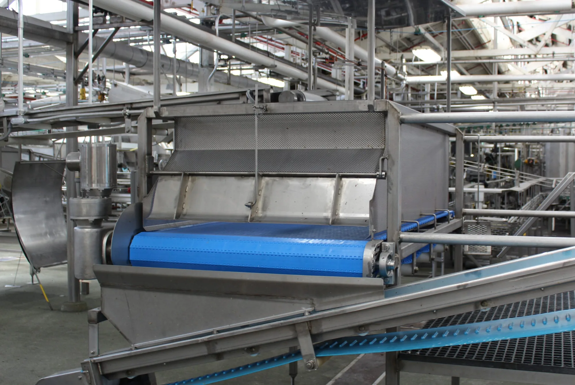 Hopper Feed Conveyor