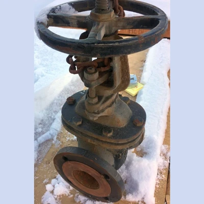 McAvity 2.5 Inch Gate Valve