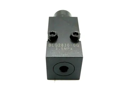 NEW KOSMEK BLG2830-0G REGULATING VALVE BLG28300G