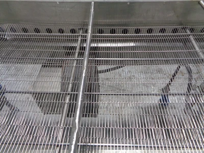 Used BELSHAW _UNKNOWN_ Belt Conveyors California US | BakeryEquipment.com #1554509