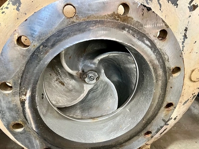 USED Goulds 3175