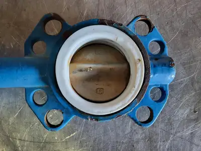 3" Butterfly Valve