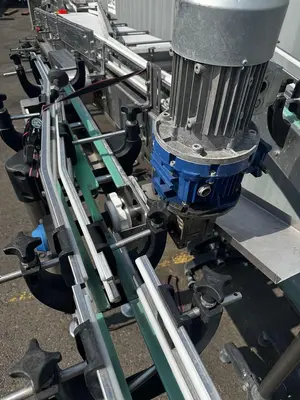 Alliance Infeed/ Dump conveyor