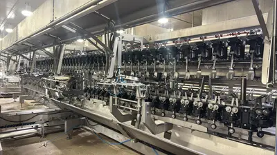 USED 2022 Foodmate OPTIX