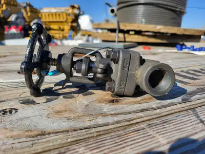 2019 3/4" Class 800 Globe Valve API 602