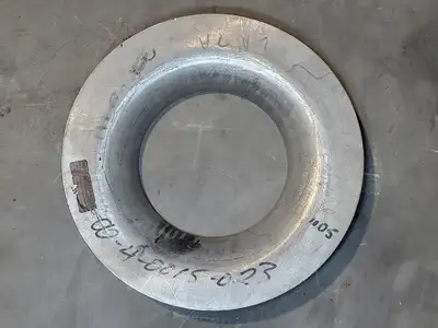 Plate Side Suction for 316SS Goulds Pump 3175M 8x10x22H