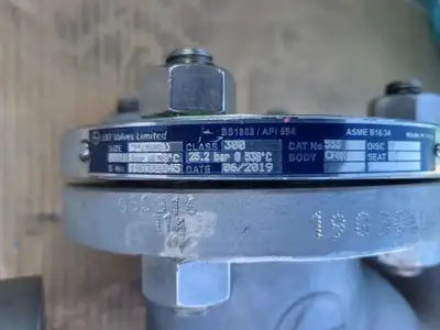 2" Class 300 Globe Valve API 594