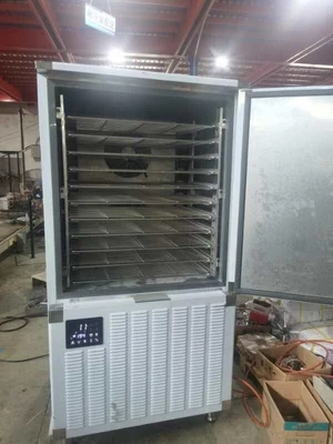 NEW Fri Cold SDM-48F