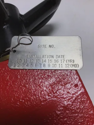 Red Valve Series 75 1″ Pinch Valve CI Body