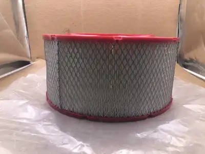 AA20B2 Air Filter Element 113384904.1