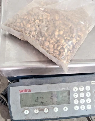 New | in-Stock Standard 47567567657789 Nuts & Screws | Amiron Machinery #736680