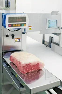 Nantsune Model NTD-300 Libra 300C Fixed Weight Meat Slicer