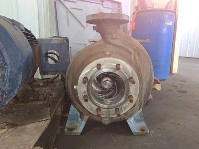 USED Goulds 3180
