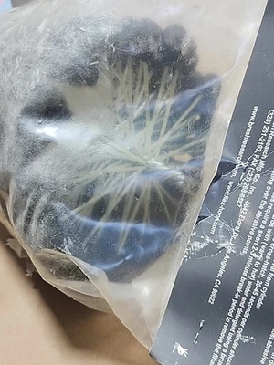 NEW Brush Research Manufacturing GBD60012